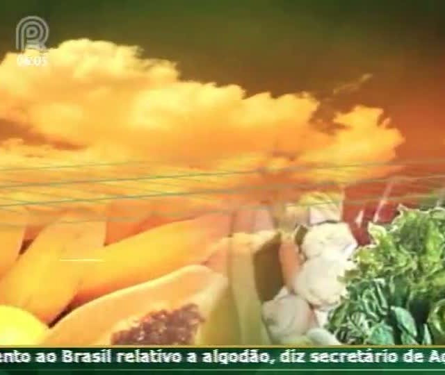 Técnica Rural - Saiba mais sobre produção de mudas de citros em ambiente protegido