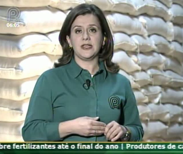 Técnica Rural - Classificação do Arroz