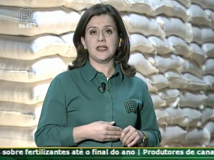 Técnica Rural - Classificação do Arroz