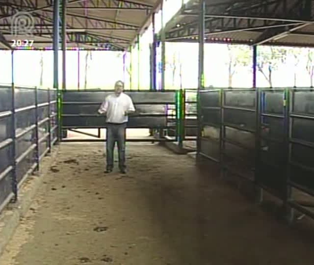 Agrocurso: Zootecnista fala sobre manejo racional aplicado a bovinos