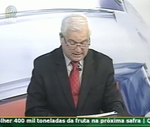 Especialista fala sobre o mercado de bovino