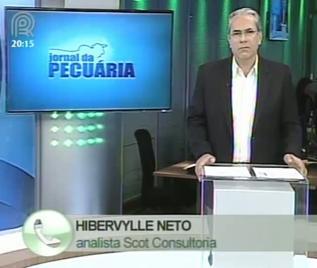Analista da Scot Consultoria fala sobre o mercado de boi gordo