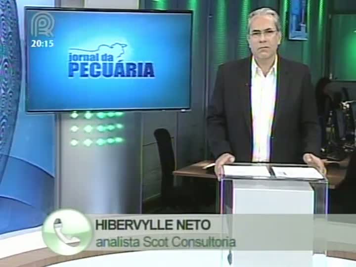 Analista da Scot Consultoria fala sobre o mercado de boi gordo