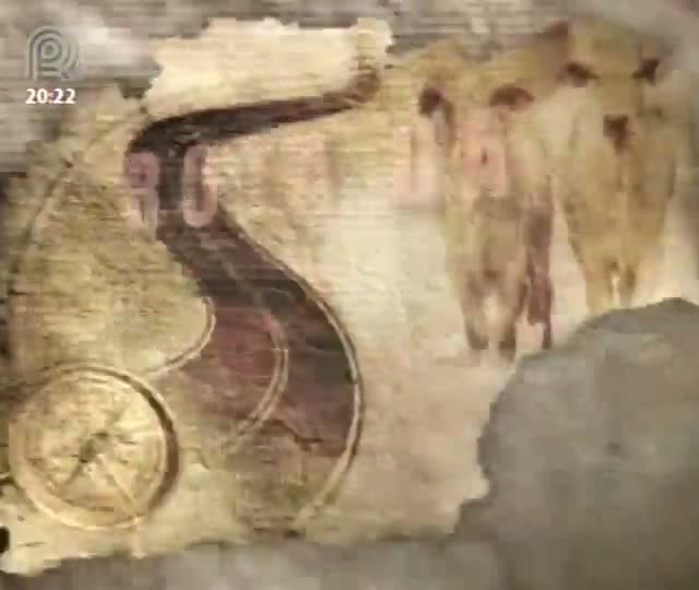 Integração lavoura-pecuária é alternativa econômica