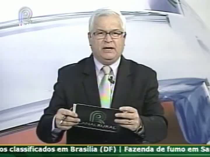 Trigo plantado no Paraná pode ter quebra de até 70% devido ao clima dos últimos dias