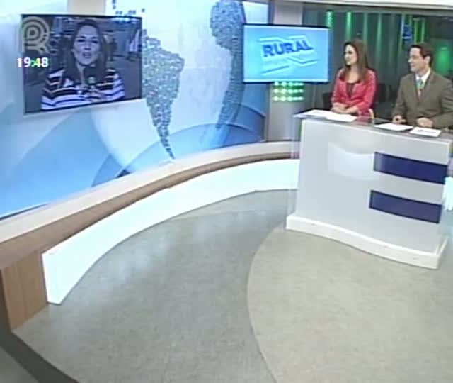 Confira como um animal se torna campeão na pista de julgamento