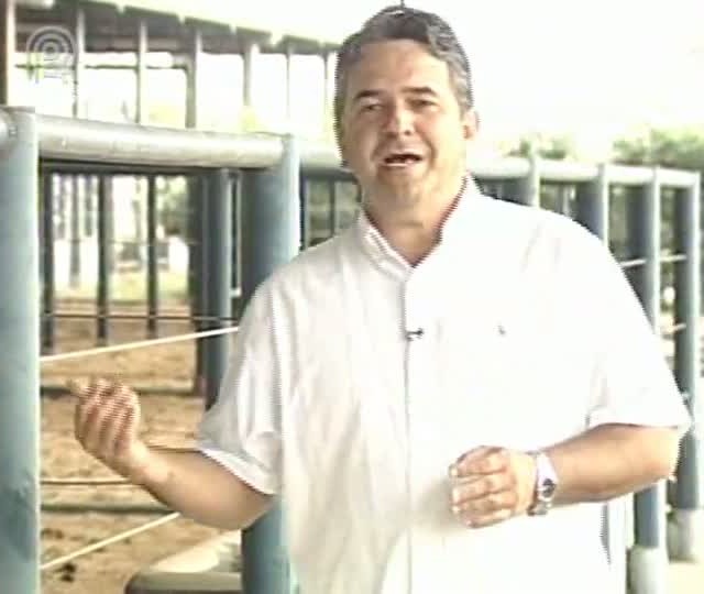 Agrocurso: Manejo racional aplicados a bovinos
