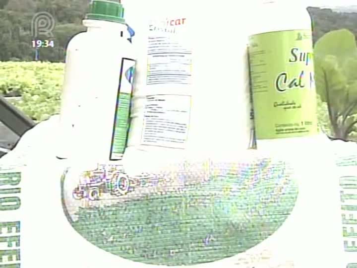 Produtores de hortaliças do interior de São Paulo usam fórmula natural para prevenir danos causados pela geada