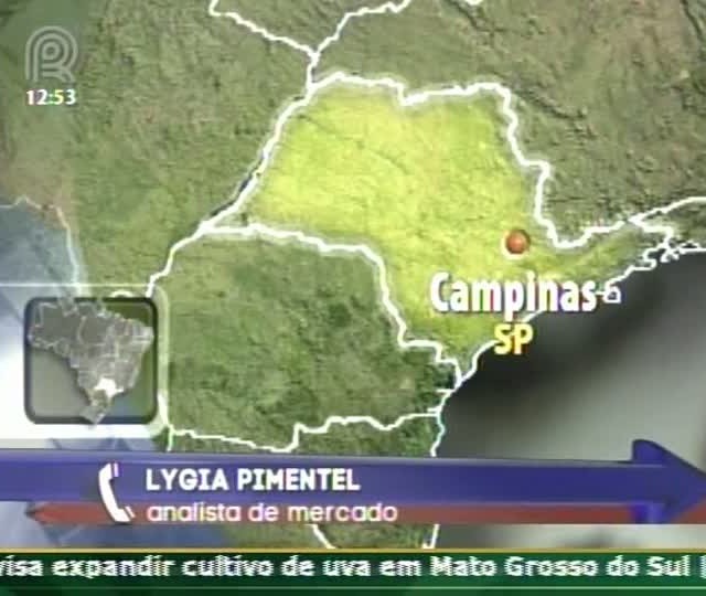 Preços do boi devem subir mais nesta entressafra