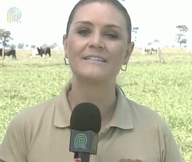 Rota da Pecuária: Semiconfinamento no Mato Grosso do Sul