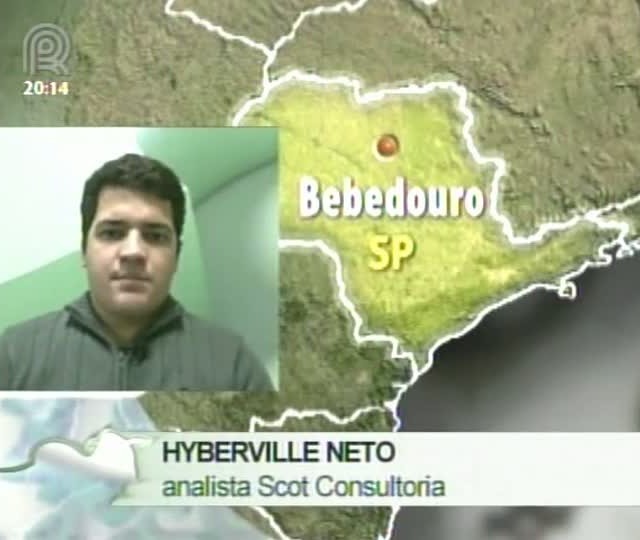 Analista da Scot Consultoria fala sobre o mercado de boi gordo