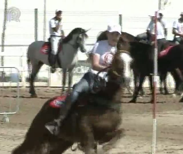 Parte 2: Mangalarga Marchador TV mostra a cerimônia de abertura da 32ª Exposição Nacional em BH