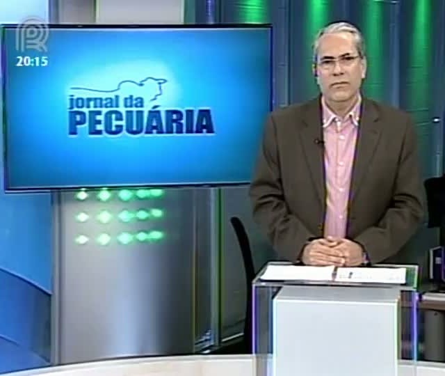 Analista da Scot Consultoria fala sobre o mercado de boi gordo