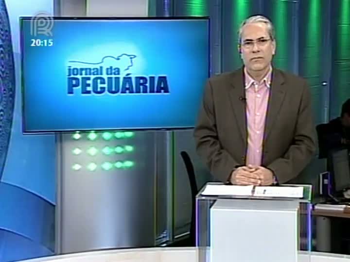 Analista da Scot Consultoria fala sobre o mercado de boi gordo