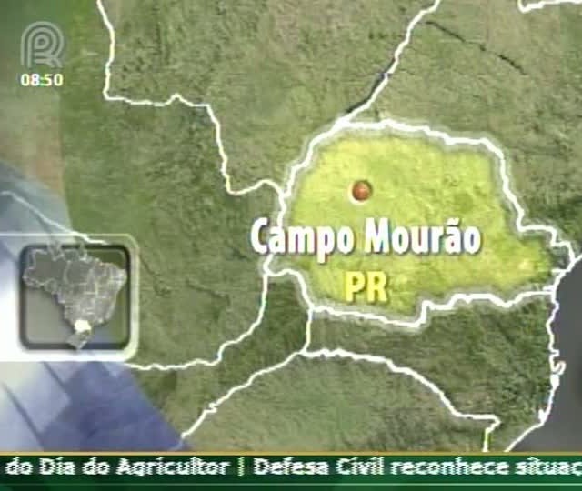 Excesso de umidade compromete qualidade do milho em Campo Mourão (PR)