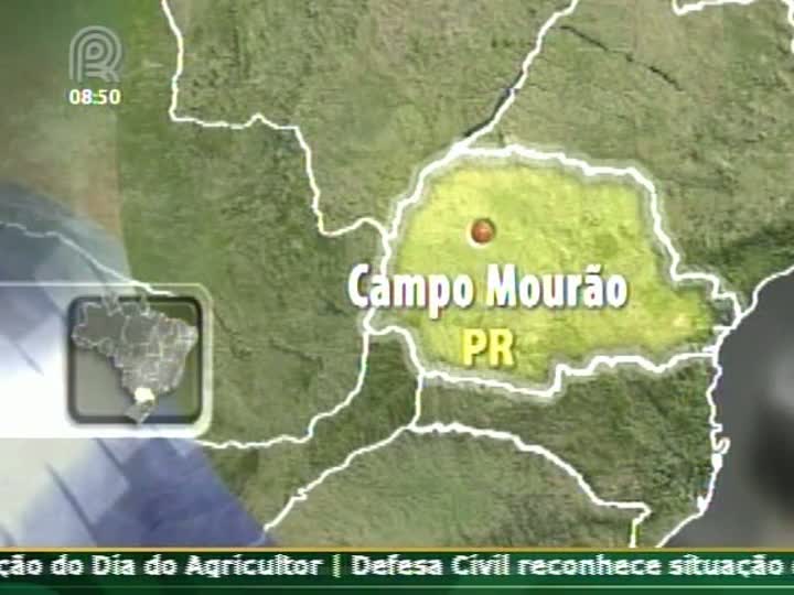 Excesso de umidade compromete qualidade do milho em Campo Mourão (PR)