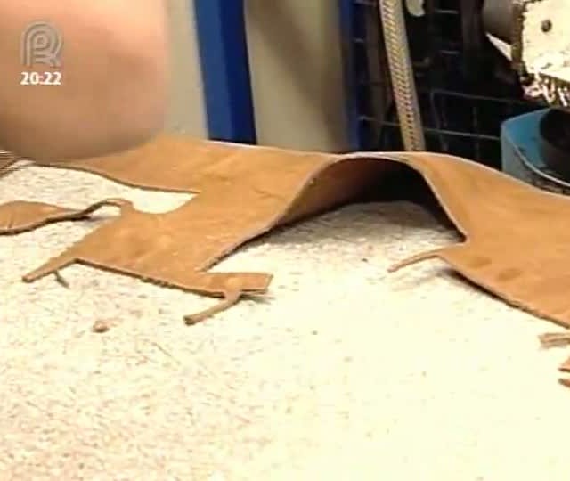 Curiosidades do Campo: veja como as botas do homem do campo são fabricadas