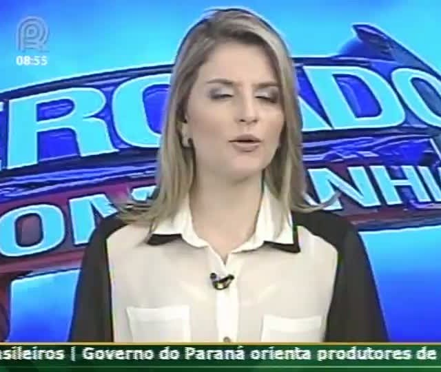 Governo brasileiro continua maquiando dados, afirma Daoud