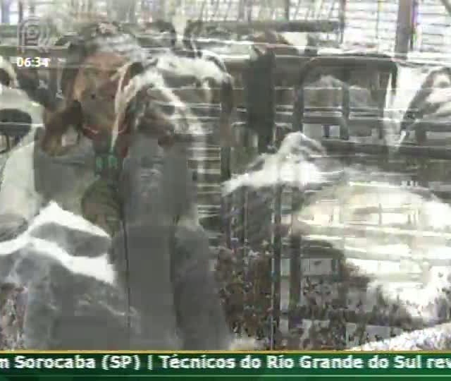 Técnica Rural - Pecuária de Leite - Canadá