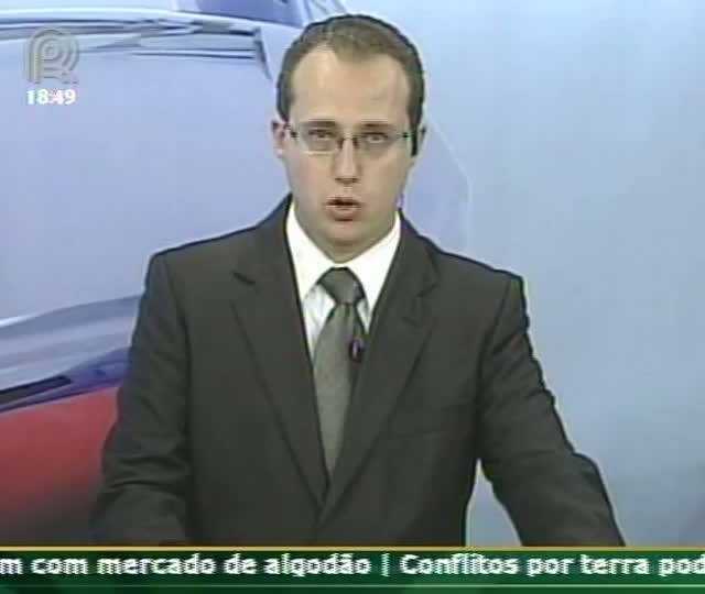 Analista fala sobre o mercado de boi gordo