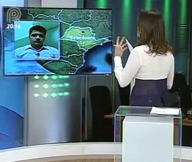 Analista da Scot Consultoria fala sobre exportação de couro