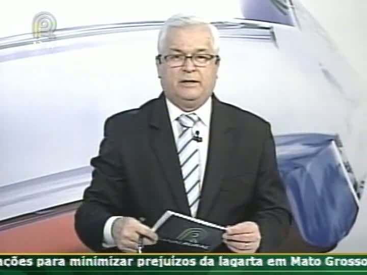 Presidente da Câmara Setorial da Carne fala ao Rota da Pecuária