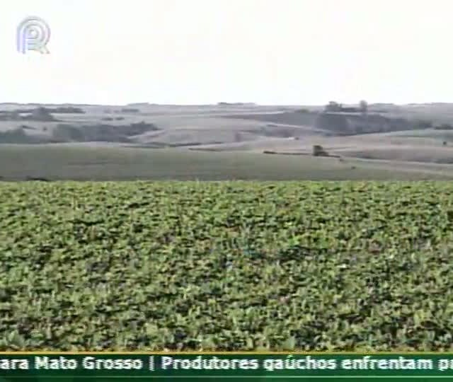 Técnica Rural - Semeadora de soja: regulagem de galpão