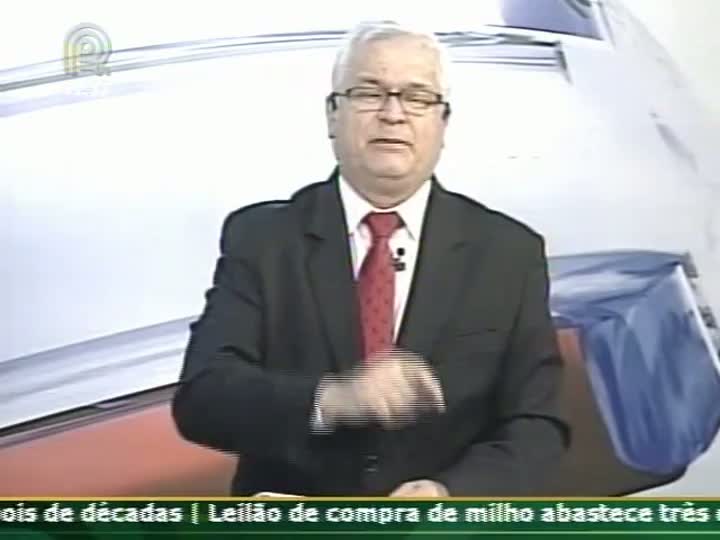 Boi gordo mantém preços firmes