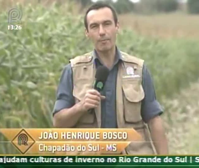 Na Estrada mostra as principais regiões produtoras de grãos em Mato Grosso do Sul