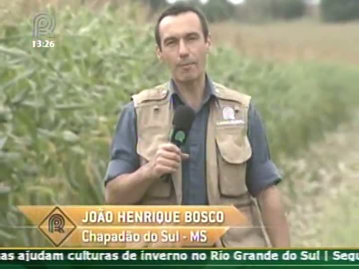 Na Estrada mostra as principais regiões produtoras de grãos em Mato Grosso do Sul