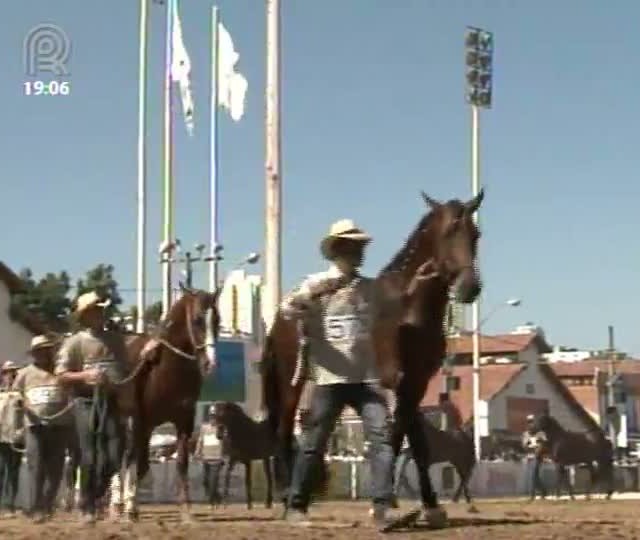 Parte 1: Mangalarga Marchador TV mostra as última notícias da 32ª Exposição Nacional, que começa no dia 17 de julho em Belo Horizonte