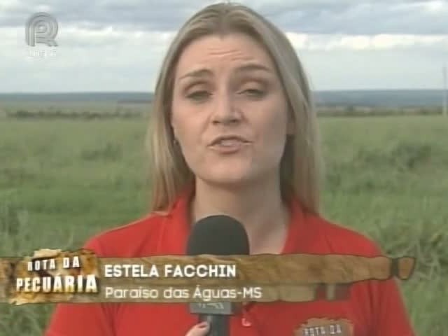 Rota da Pecuária encontrou em Mato Grosso do Sul uma propriedade que tem produção própria de sementes de forrageiras