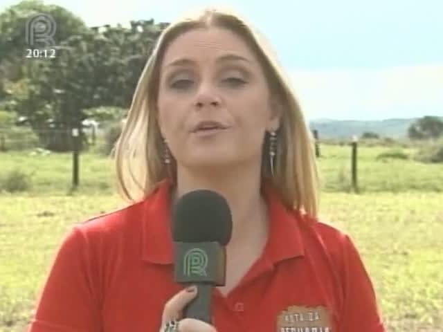 Rota da Pecuária foi conhecer a força da pecuária leiteira do Vale do Jauru, em Mato Grosso