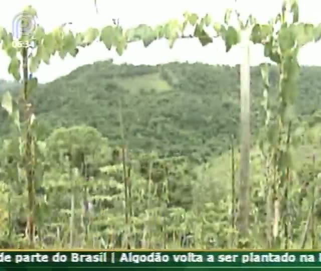 Técnica Rural - Suco de Uva