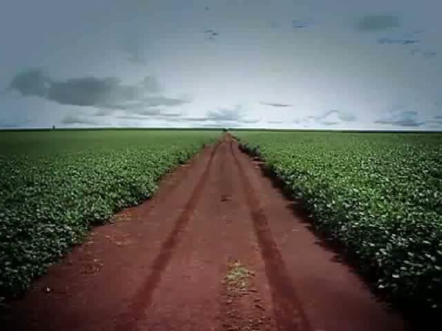 Momento Soja - Custo de produção