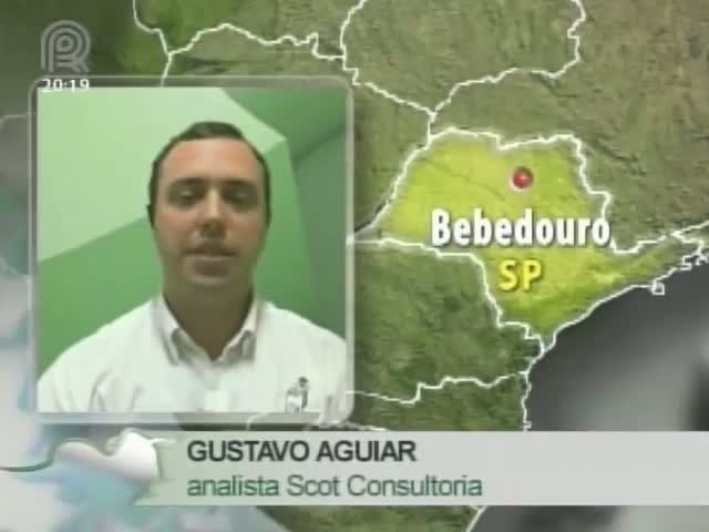 Analista da Scot Consultoria fala sobre os custos da pecuária