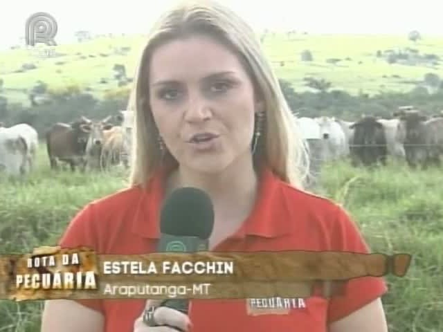 Rota da Pecuária mostra pecuarista que utiliza cruzamento de nelore com o gado montana