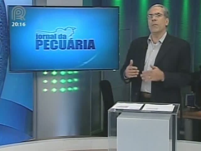 Analista de mercado da Scot Consultoria fala sobre o mercado de frango vivo