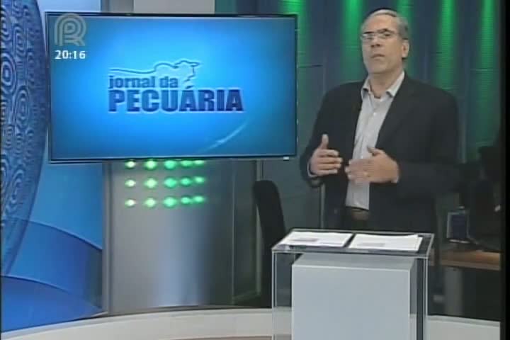 Analista de mercado da Scot Consultoria fala sobre o mercado de frango vivo