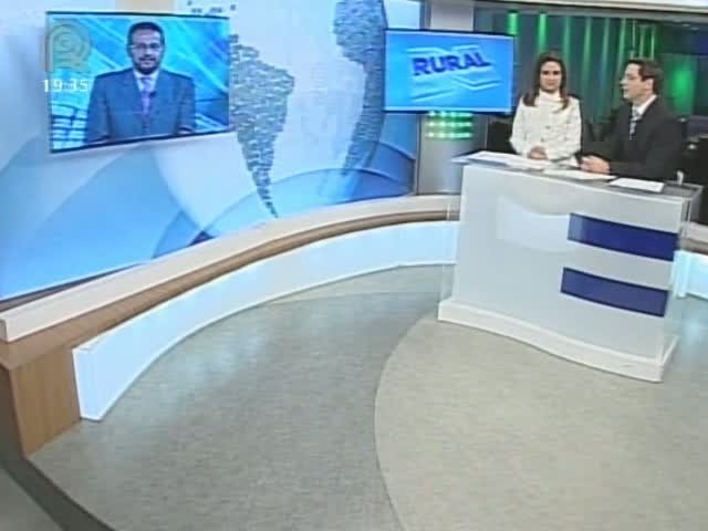 Miguel Daoud comenta sobre a volatilidade do câmbio