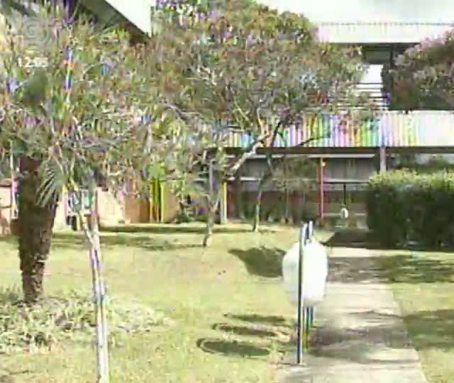 Via Láctea: saiba o que é transgenia e seus benefícios à produção de leite