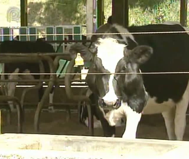 Via Láctea: saiba o que é a nanotecnologia e como ela pode ajudar produtores de leite