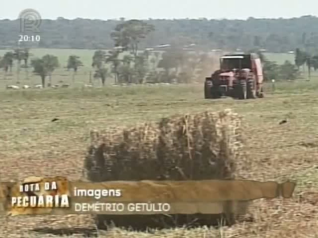 Projeto Rota da Pecuária realizou nesta terça o terceiro dia de campo da expedição