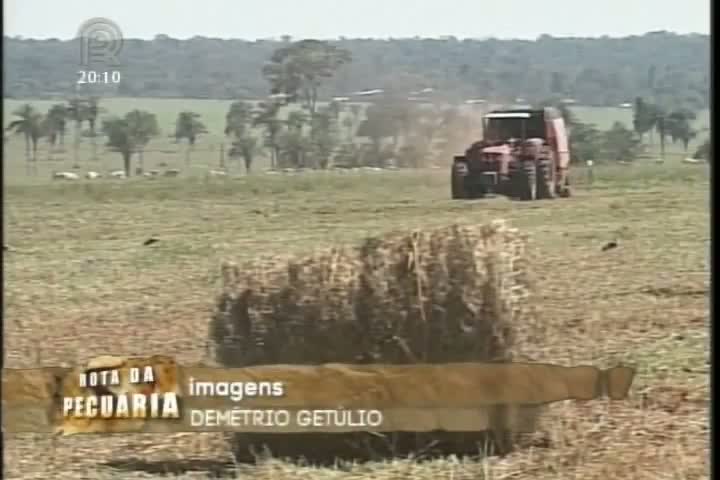 Projeto Rota da Pecuária realizou nesta terça o terceiro dia de campo da expedição