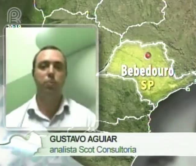 Analista da Scot Consultoria fala sobre cotações do boi gordo