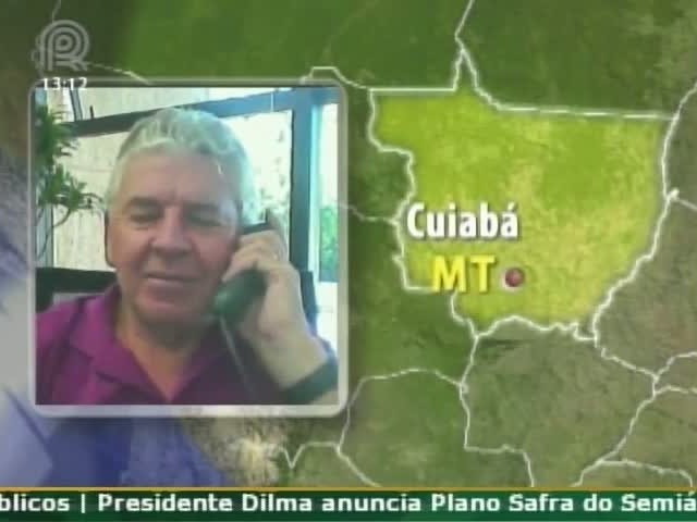 Dólar faz o preço da soja subir, diz diretor da Sim Consult
