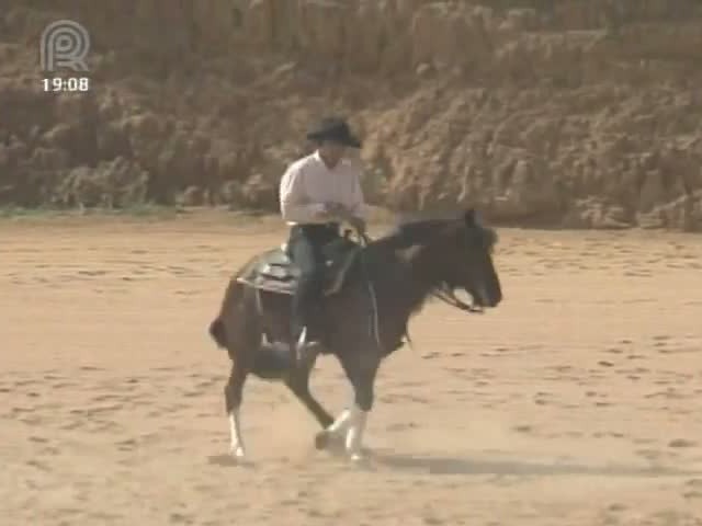 Parte 01: Mangalarga Marchador TV mostra a participação da raça nas competições de rédeas