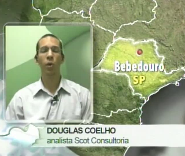 Analista da Scot Consultoria fala sobre mercado de suínos