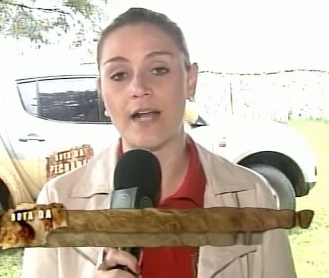 Equipe do Rota da Pecuária mostra projeto desenvolvido em Goiás para aumentar a produtividade do rebanho em apenas 12 meses