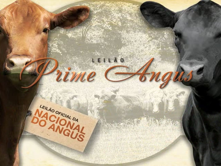 Leilão Prime Angus